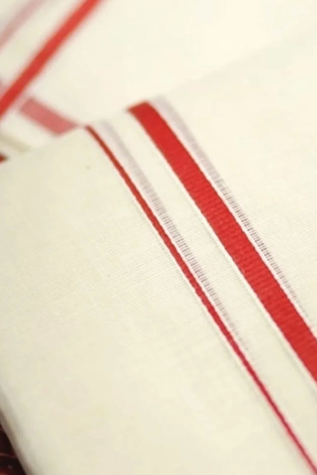 Vaani- Red Puliyilakkara Settumundu with Printed Blouse Material